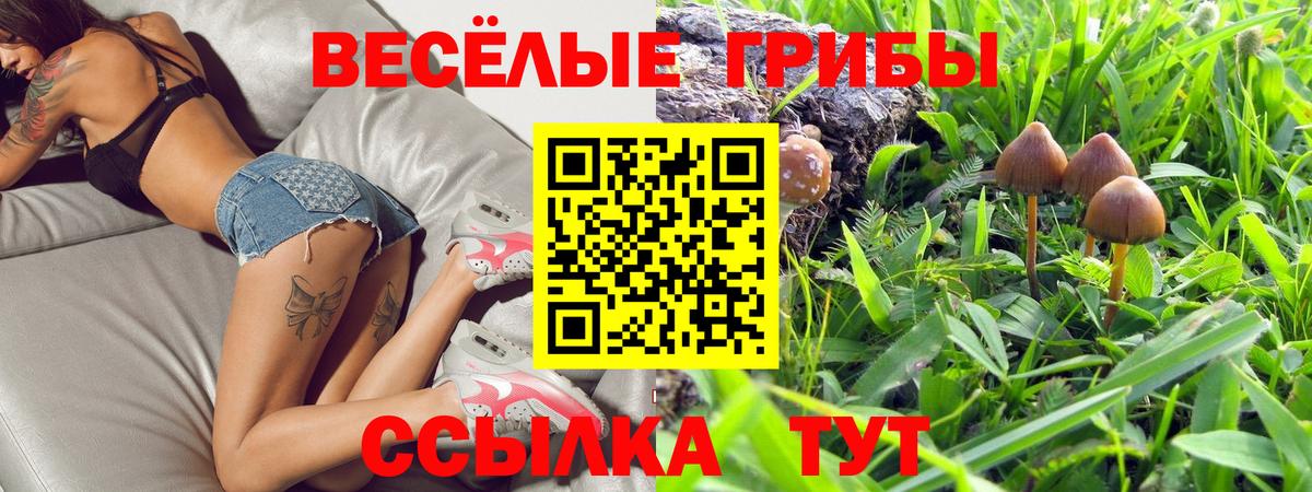 Фролово  Псилоцибиновые грибы Psilocybe  Вход с VPN 